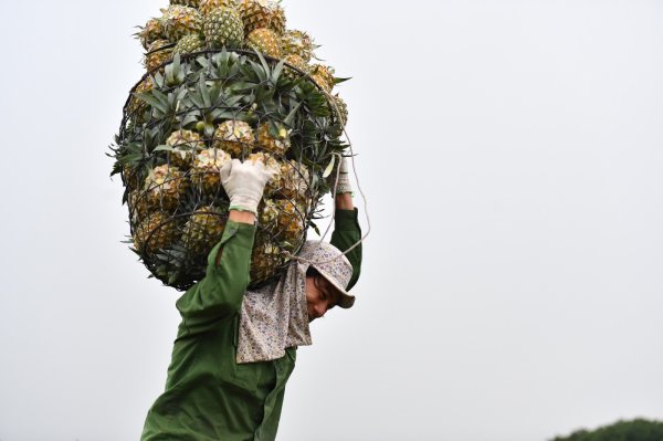 Bộ Tài chính rút ra hai kịch b